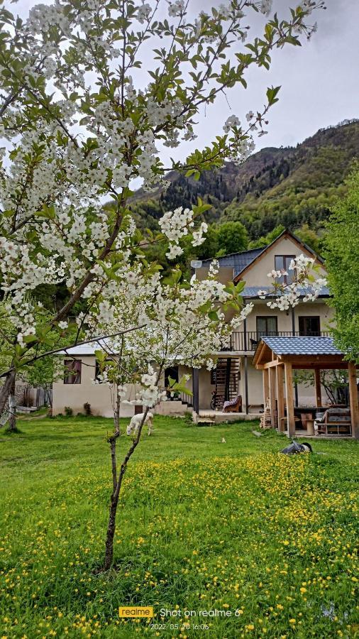 House B&B Mestia Bagian luar foto