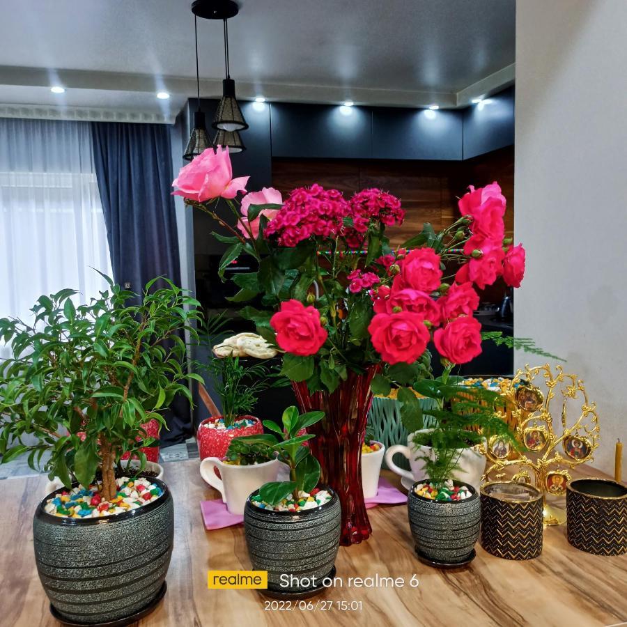House B&B Mestia Bagian luar foto