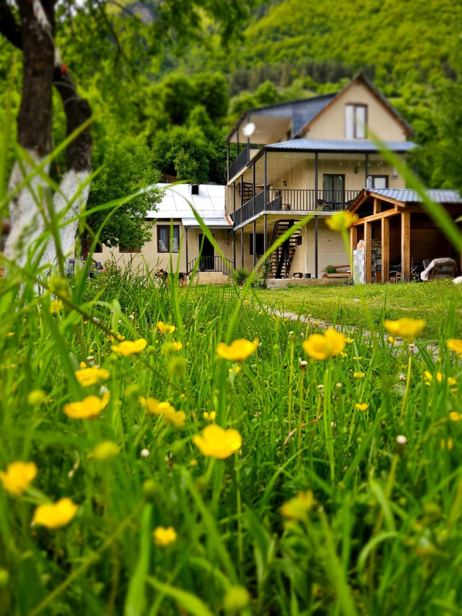 House B&B Mestia Bagian luar foto